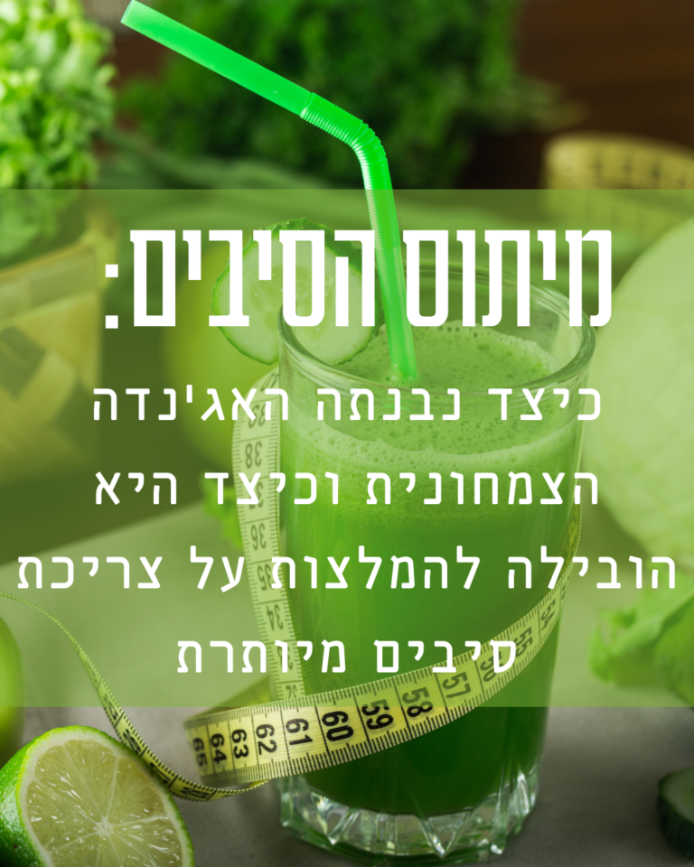 מיתוס: סיבים תזונתיים